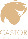 Relojes de Madera Castor