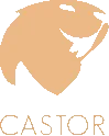 Castor Watches
