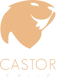 Relojes de Madera Castor